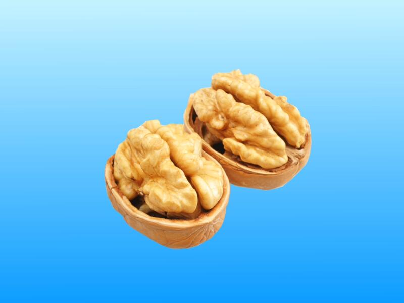 DB真人旗舰官网