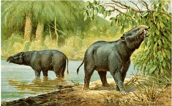 中国·DB真人旗舰(集团)