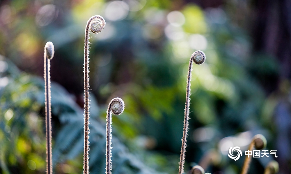 【DB真人旗舰官网】新造车大军陷入离职潮,没有资本能维持多久?(图4) DB真人旗舰·(中国)集团