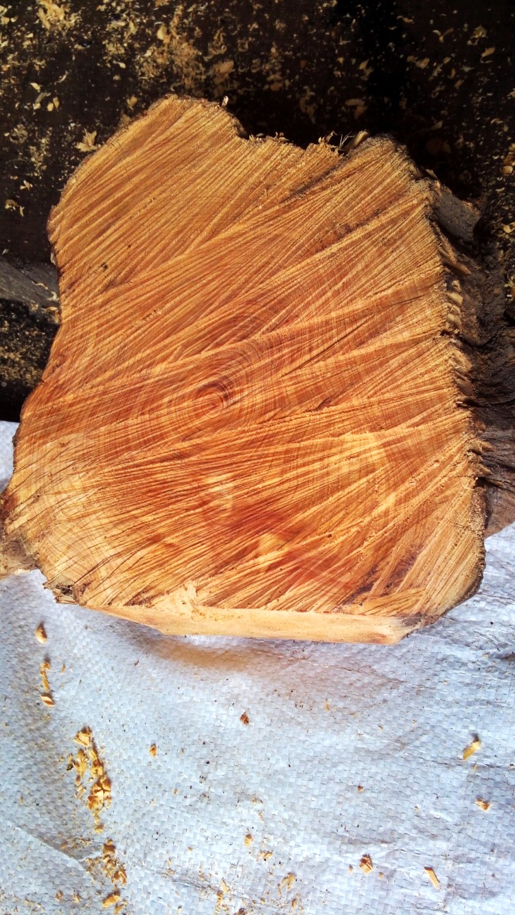 战疫捷报丨被治愈新冠肺炎患者血浆内有抗体;口罩企业复工率超过76%:中国·DB真人旗舰(集团)(图2) DB真人旗舰官网