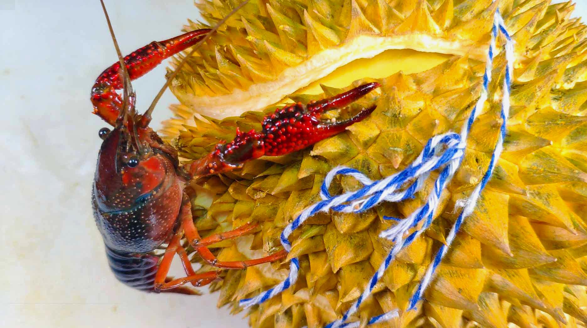 中国·DB真人旗舰(集团)