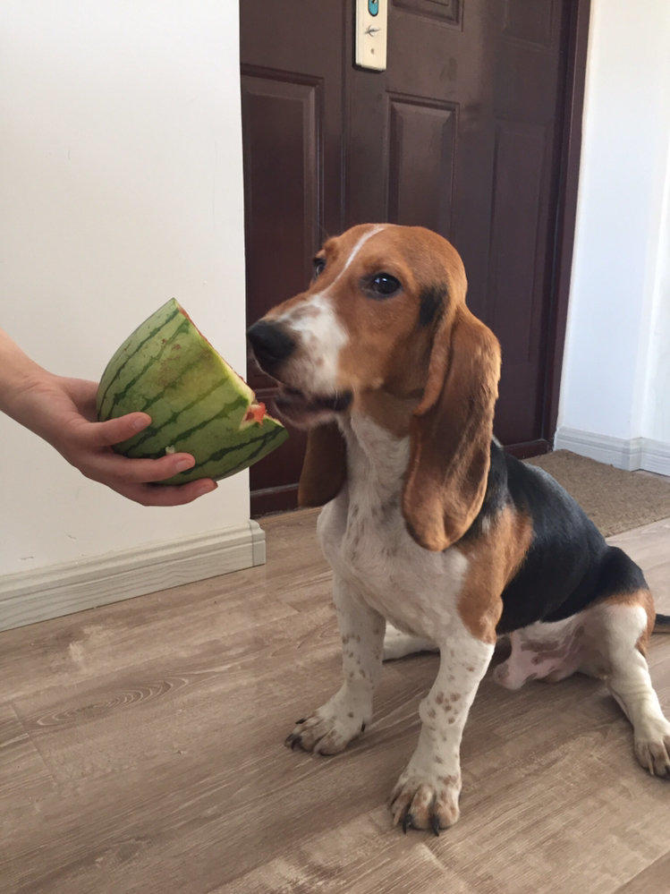 DB真人旗舰·(中国集团)