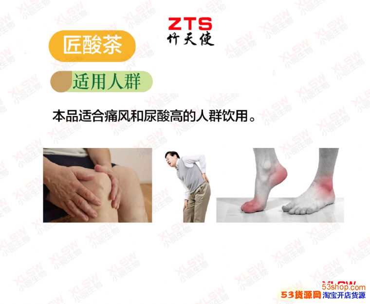 DB真人旗舰官网