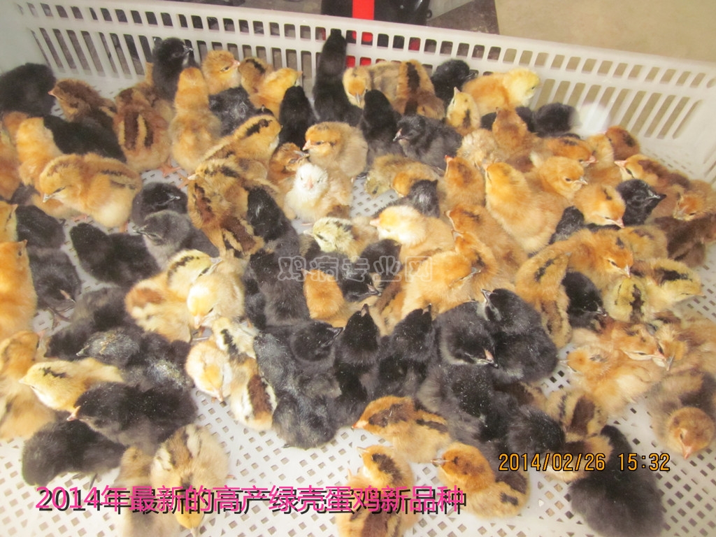 DB真人旗舰·(中国集团)