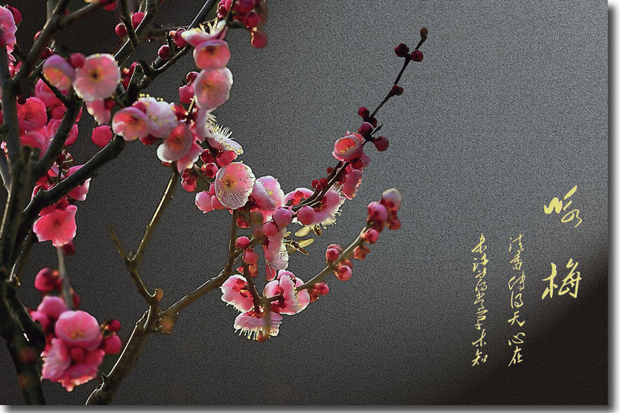 零距离对话消费者 全新一代传祺GA6备受好评【DB真人旗舰·(中国)集团】(图1) DB真人旗舰·(中国集团)