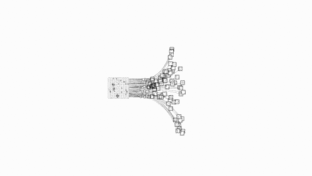 DB真人旗舰·(中国集团)