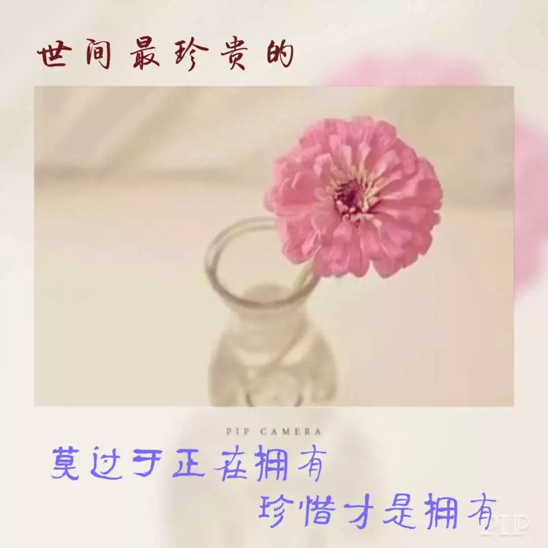 中国·DB真人旗舰(集团)