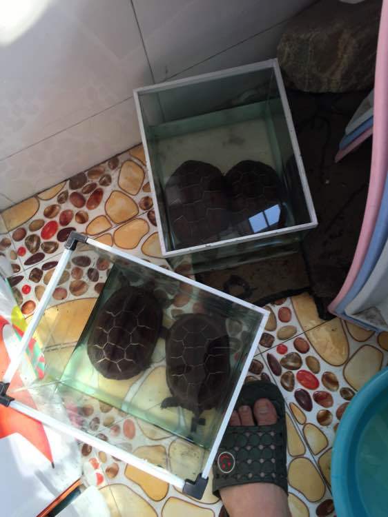 河南唐河破获专盗保险柜案 凭三轮车影子锁定罪犯|DB真人旗舰·(中国)集团(图3) DB真人旗舰·(中国集团)