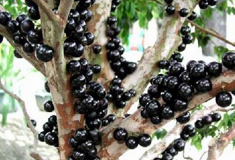 梅城镇严陵社区开展五水共治“五度一感”调查问卷|DB真人旗舰·(中国集团)(图2) DB真人旗舰官网