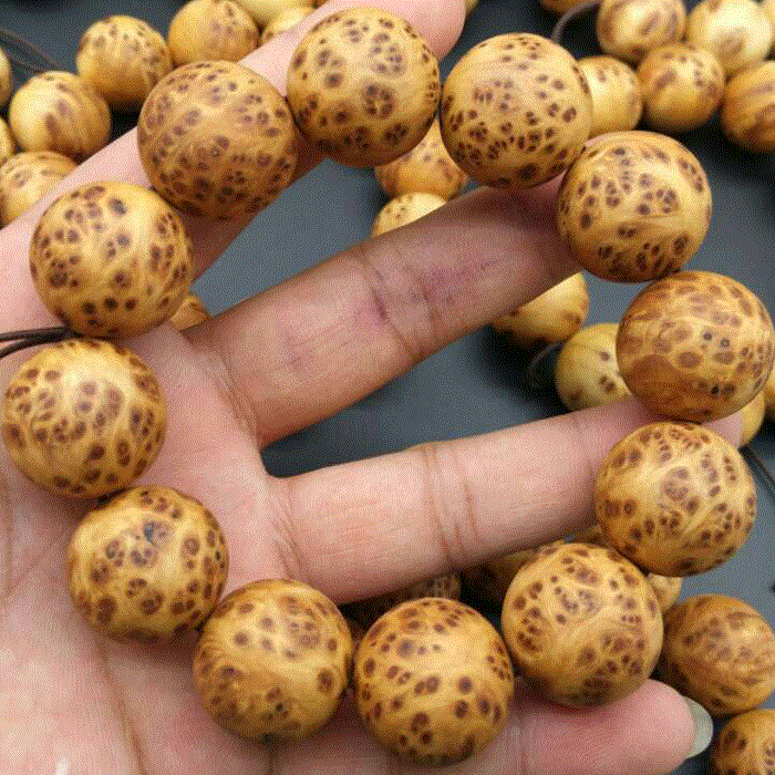 生猪产业加速整合 国内猪价将延续小幅上扬走势:中国·DB真人旗舰(集团)(图1) 中国·DB真人旗舰(集团)