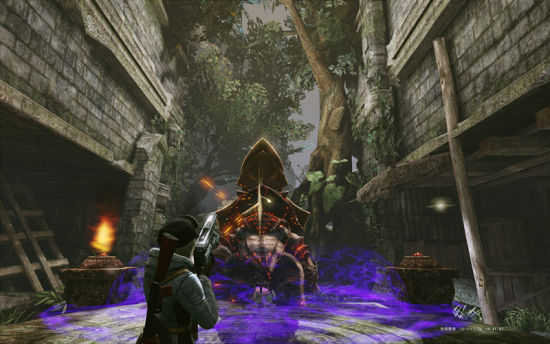 中国的火鸡市场由谁来开发“DB真人旗舰·(中国集团)”(图1) DB真人旗舰官网