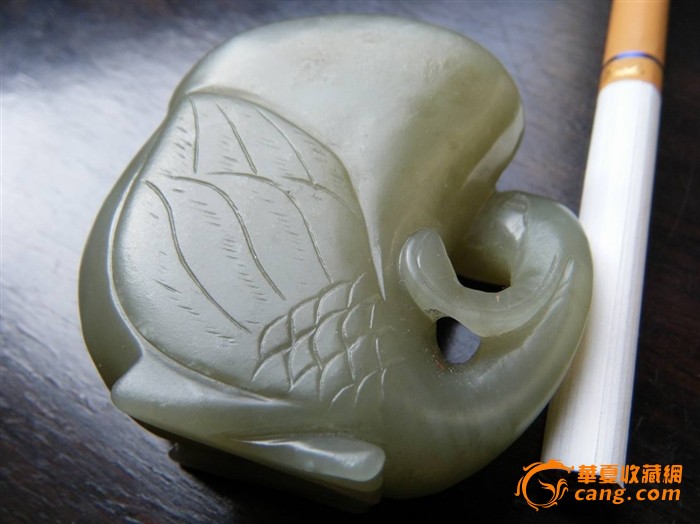 DB真人旗舰官网