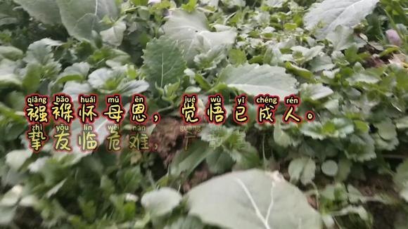 中国·DB真人旗舰(集团)