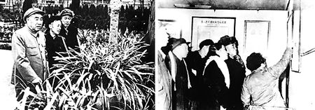 ‘DB真人旗舰·(中国)集团’北京望京街道打响年末拆违收官战,全年拆违98000平米(图2) DB真人旗舰·(中国集团)