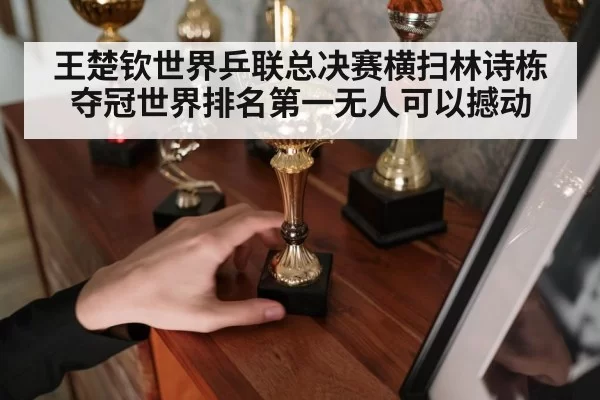 王楚钦世界乒联总决赛横扫林诗栋夺冠世界排名第一无人可以撼动